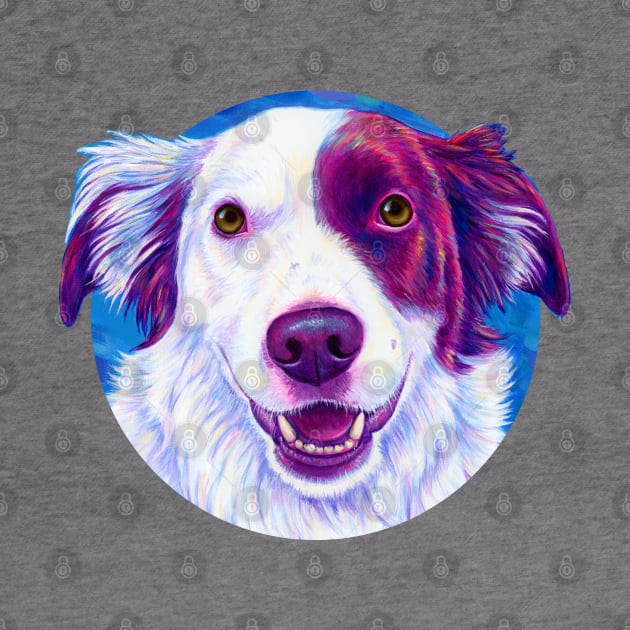 Colorful Red and White Border Collie Dog by rebeccawangart